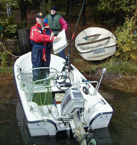 Arrows